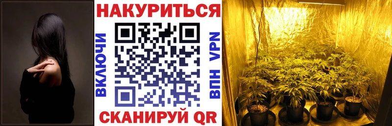 Купить наркоту Пыталово Альфа ПВП  АМФ  Канабис  ГАШ 