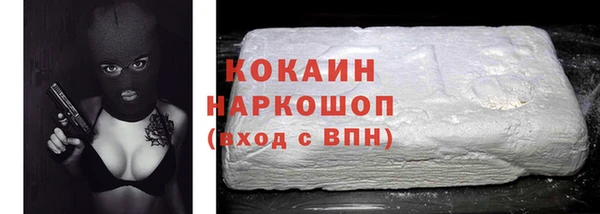прущие грибы Инсар
