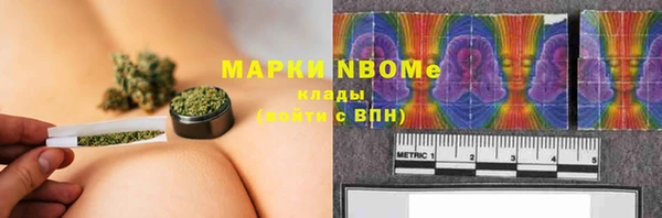 прущие грибы Зерноград