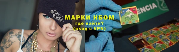 прущие грибы Зерноград