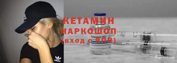шишки Инта