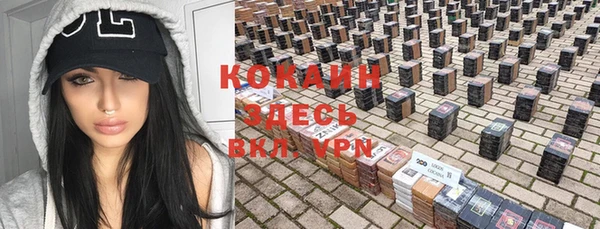 прущие грибы Зерноград