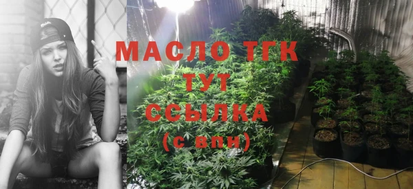 прущие грибы Инсар