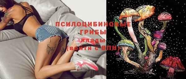 прущие грибы Зерноград
