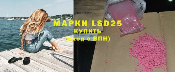 шишки Инта