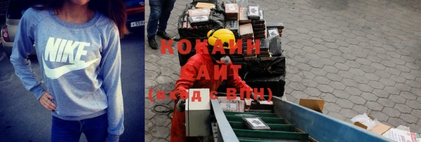 шишки Инта