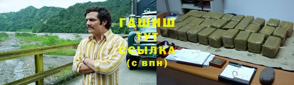 шишки Инта