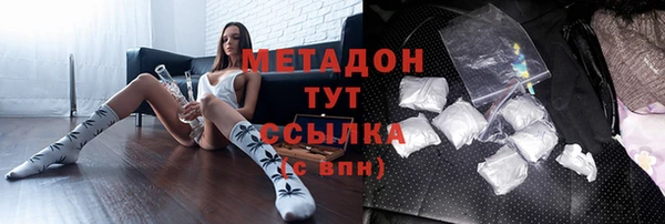 шишки Инта